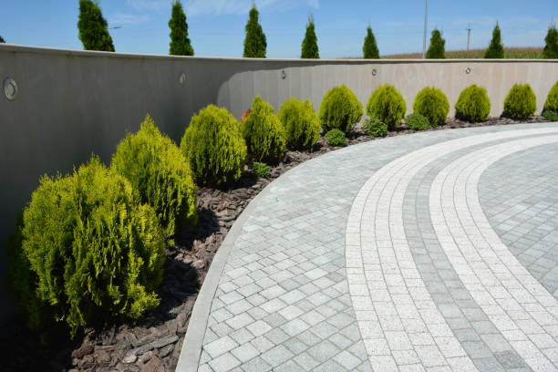 Reasons to Select Us for Your Driveway Paving Requirements in Manchester, TN